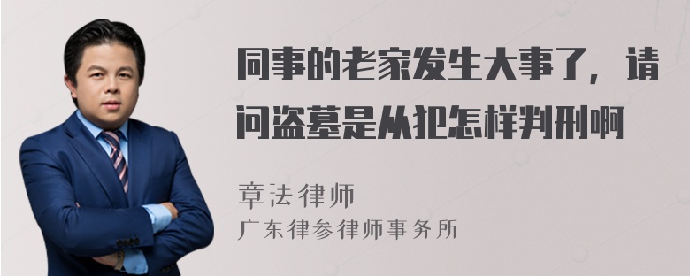 同事的老家发生大事了，请问盗墓是从犯怎样判刑啊