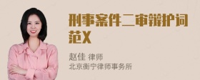 刑事案件二审辩护词范X