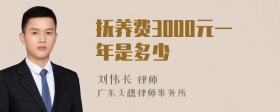 抚养费3000元一年是多少