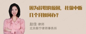 因为辞职的原因，社保中断几个月如何办？