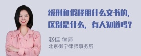 缓刑和假释用什么文书的，区别是什么，有人知道吗？