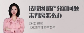 法院因财产分割问题未判离怎么办