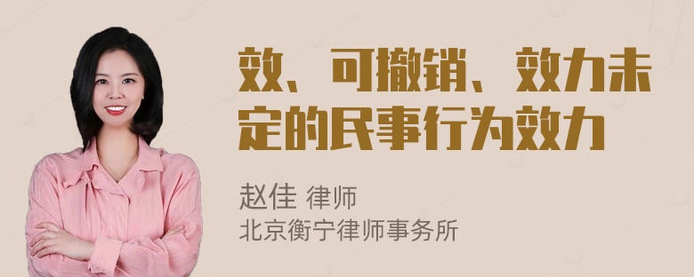 效、可撤销、效力未定的民事行为效力