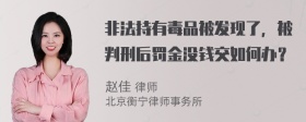 非法持有毒品被发现了，被判刑后罚金没钱交如何办？