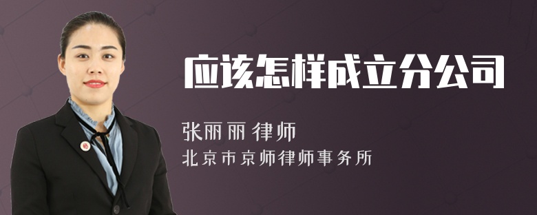 应该怎样成立分公司