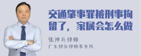 交通肇事罪被刑事拘留了，家属会怎么做