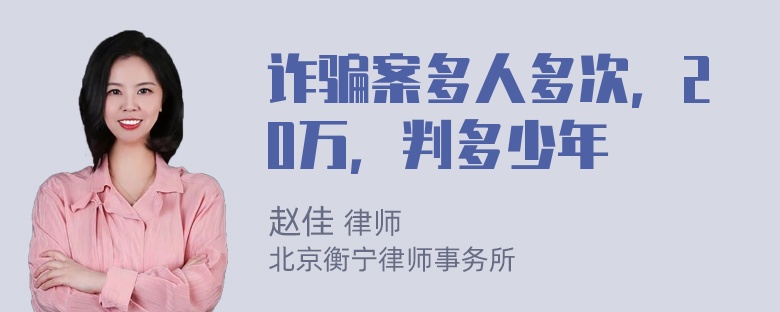 诈骗案多人多次，20万，判多少年