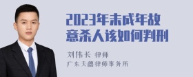 2023年未成年故意杀人该如何判刑