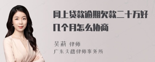 网上贷款逾期欠款二十万好几个月怎么协商