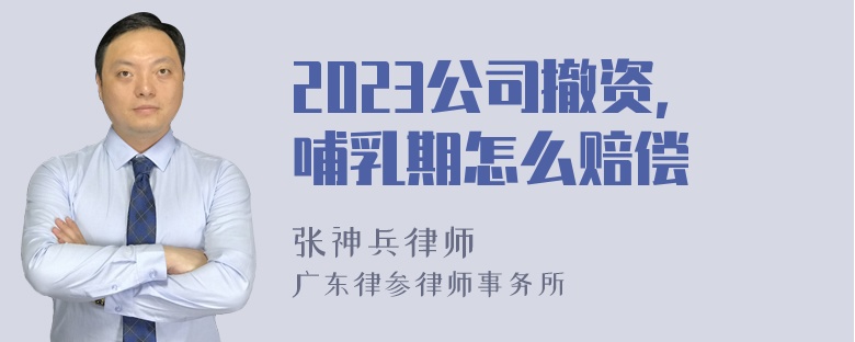 2023公司撤资，哺乳期怎么赔偿