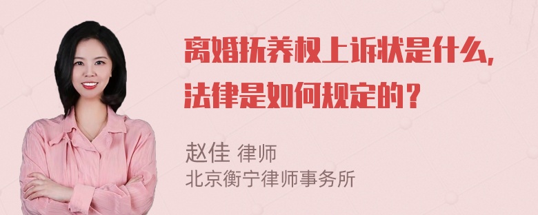 离婚抚养权上诉状是什么，法律是如何规定的？