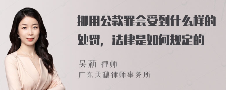 挪用公款罪会受到什么样的处罚，法律是如何规定的