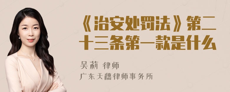 《治安处罚法》第二十三条第一款是什么