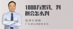 1000万黑钱，判刑会怎么判