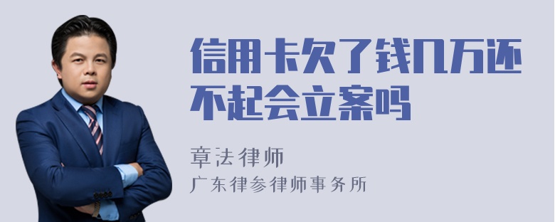 信用卡欠了钱几万还不起会立案吗