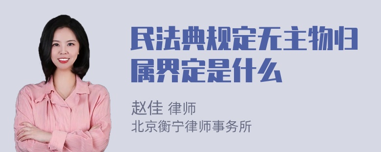 民法典规定无主物归属界定是什么