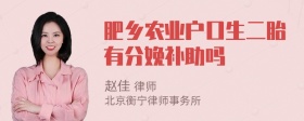 肥乡农业户口生二胎有分娩补助吗