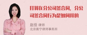 打算在分公司签合同，分公司签合同行为是如何样的