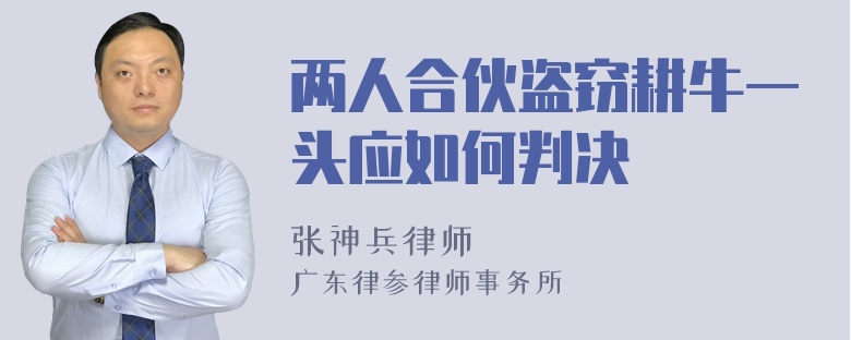 两人合伙盗窃耕牛一头应如何判决