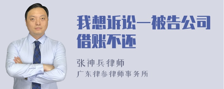 我想诉讼一被告公司借账不还