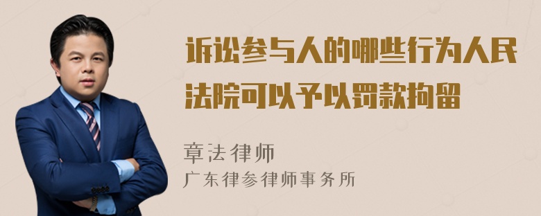 诉讼参与人的哪些行为人民法院可以予以罚款拘留