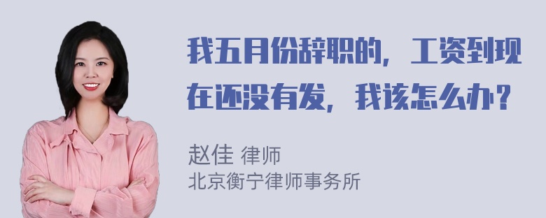 我五月份辞职的，工资到现在还没有发，我该怎么办？