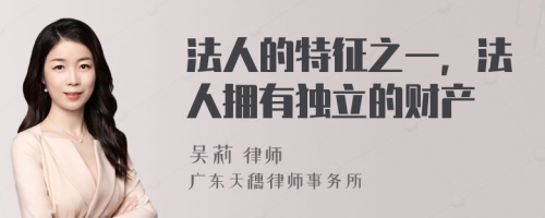 法人的特征之一，法人拥有独立的财产