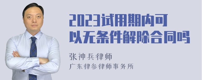 2023试用期内可以无条件解除合同吗