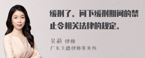 缓刑了。问下缓刑期间的禁止令相关法律的规定。