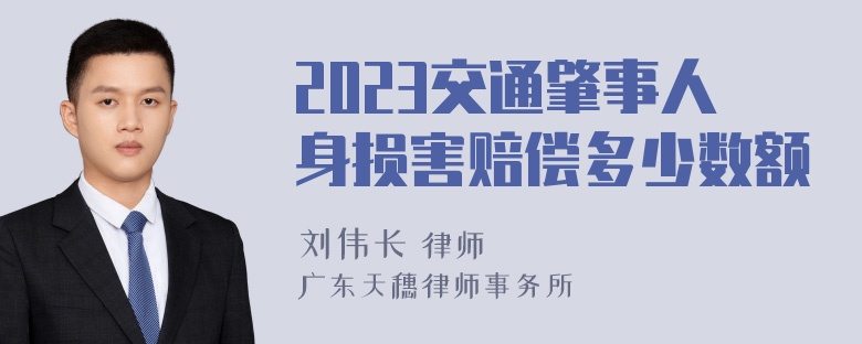 2023交通肇事人身损害赔偿多少数额