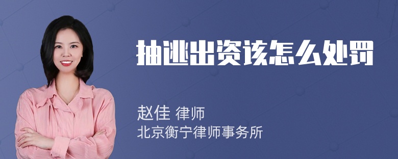 抽逃出资该怎么处罚