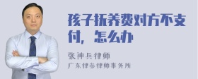 孩子抚养费对方不支付，怎么办