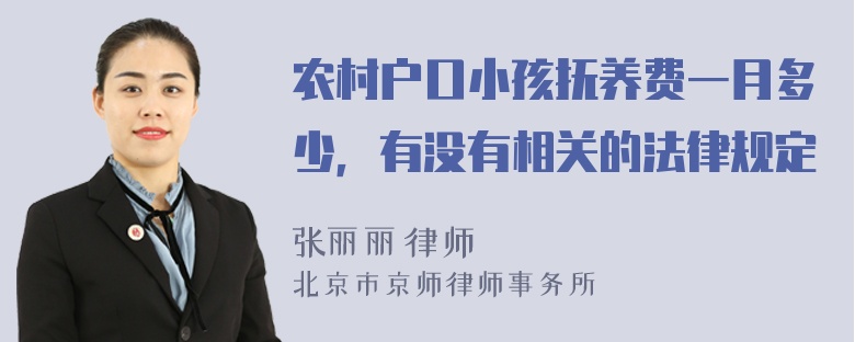 农村户口小孩抚养费一月多少，有没有相关的法律规定