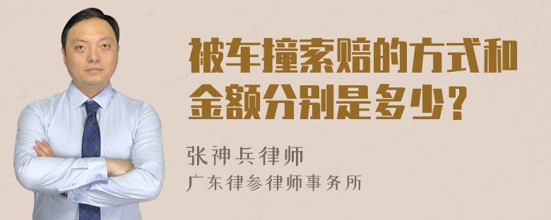 被车撞索赔的方式和金额分别是多少？