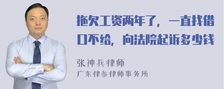 拖欠工资两年了，一直找借口不给，向法院起诉多少钱