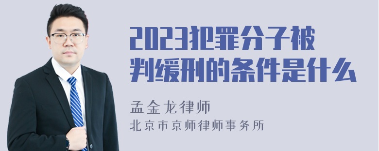 2023犯罪分子被判缓刑的条件是什么