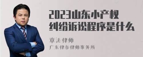 2023山东小产权纠纷诉讼程序是什么