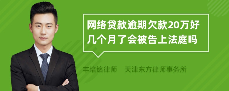 网络贷款逾期欠款20万好几个月了会被告上法庭吗