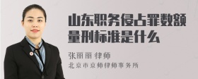 山东职务侵占罪数额量刑标准是什么