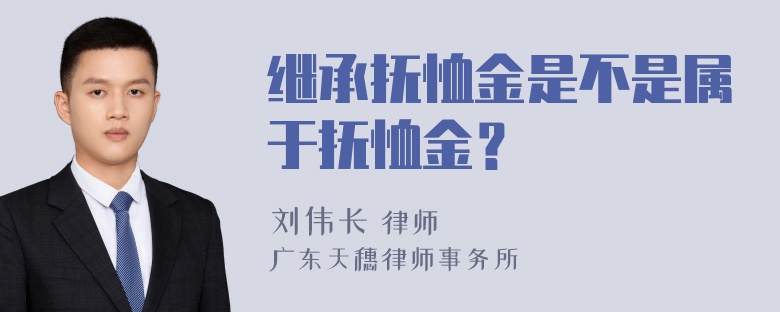 继承抚恤金是不是属于抚恤金？