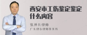 西安市工伤鉴定鉴定什么内容