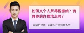 如何交个人所得税缴纳？有具体的办理地点吗？