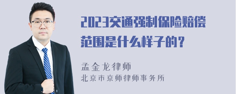 2023交通强制保险赔偿范围是什么样子的？