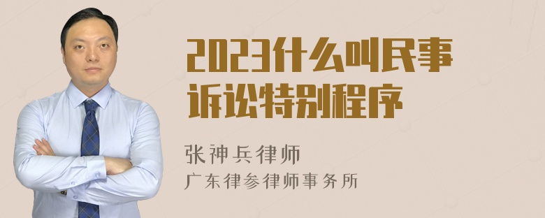 2023什么叫民事诉讼特别程序