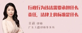 行政行为违法需要承担什么责任，法律上的标准是什么