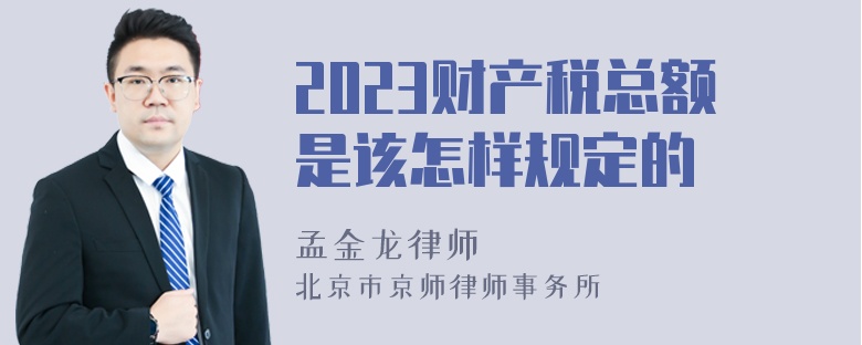 2023财产税总额是该怎样规定的