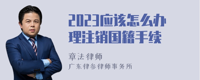 2023应该怎么办理注销国籍手续