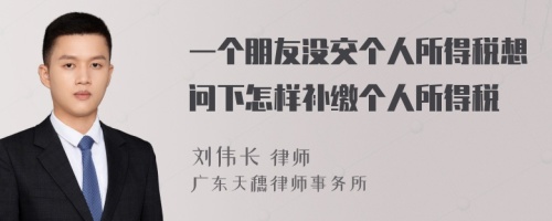 一个朋友没交个人所得税想问下怎样补缴个人所得税