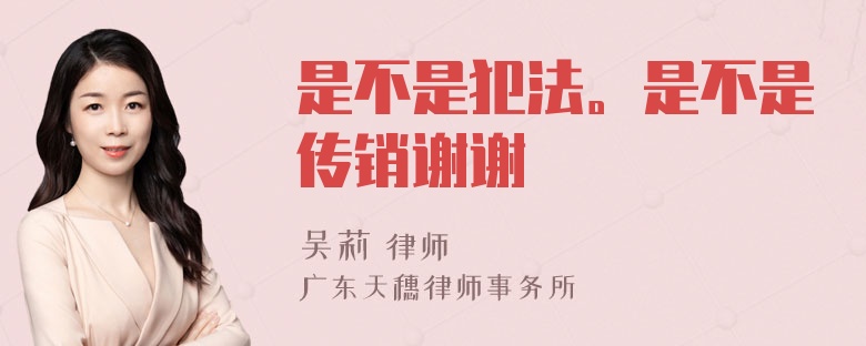 是不是犯法。是不是传销谢谢