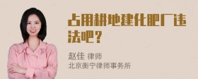 占用耕地建化肥厂违法吧？